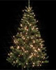 Weihnachten Tannenbaum
