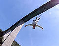 192 Meter Bungee Jump von der Europabrücke